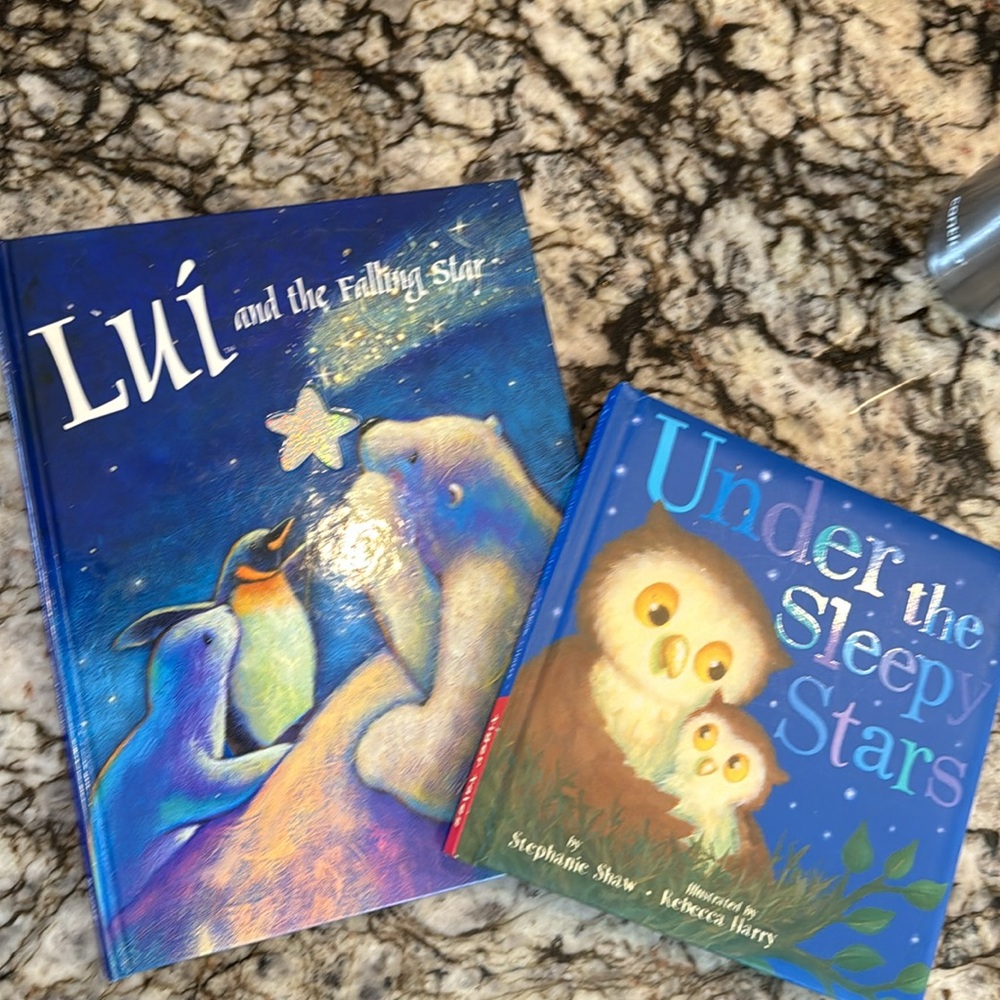 Under the Sleepy Stars Board Book Duo  2 for 1